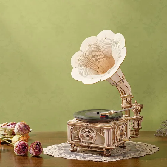 Le gramophone sur une table en bois devant un mur vert, roses séchées et napperon en dentelle