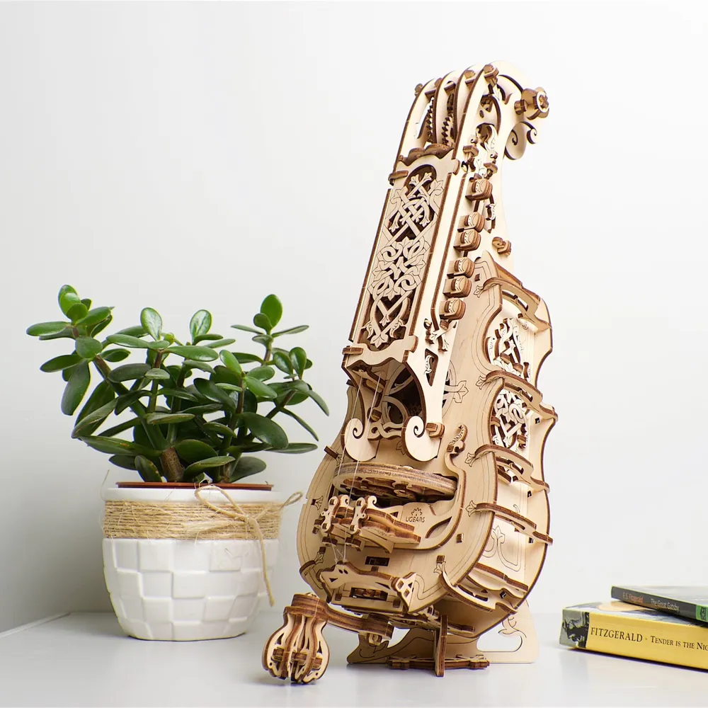 Instrument de bois dressé sur une console blanche près d'une plante grasse et de livres