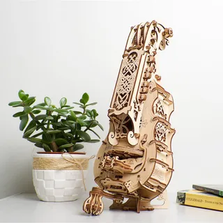 Instrument de bois dressé sur une console blanche près d'une plante grasse et de livres
