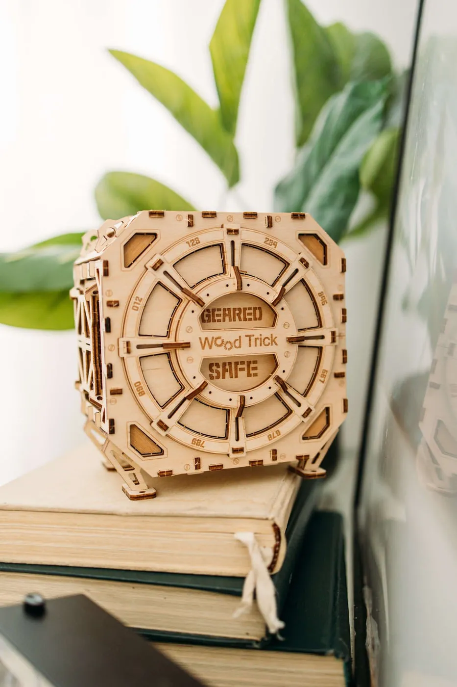 Le coffre-fort vu de face sur des livres, à côté d’une plante, dans une lumière naturelle